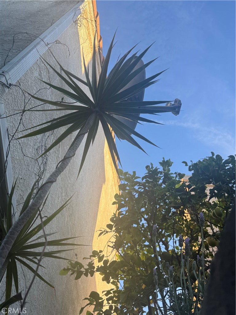 MLS #SR25279105 image #29