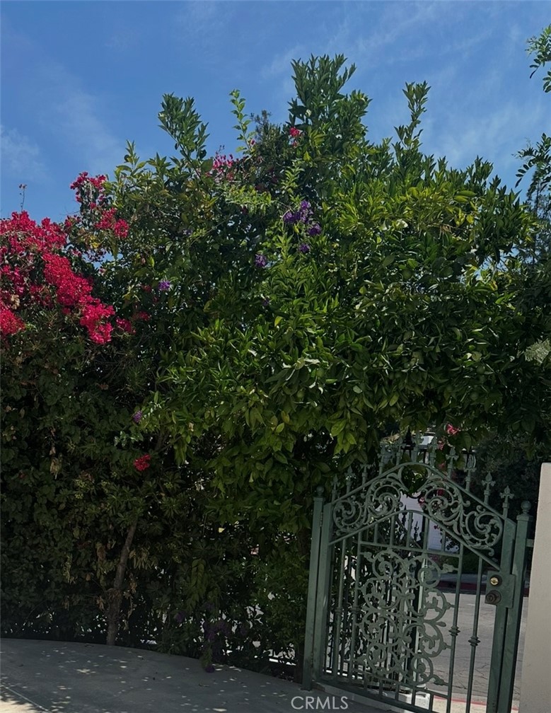 MLS #SR25279735 image #21