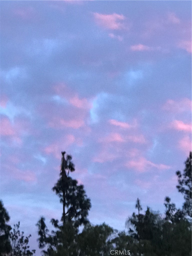 MLS #SR26003315 image #41