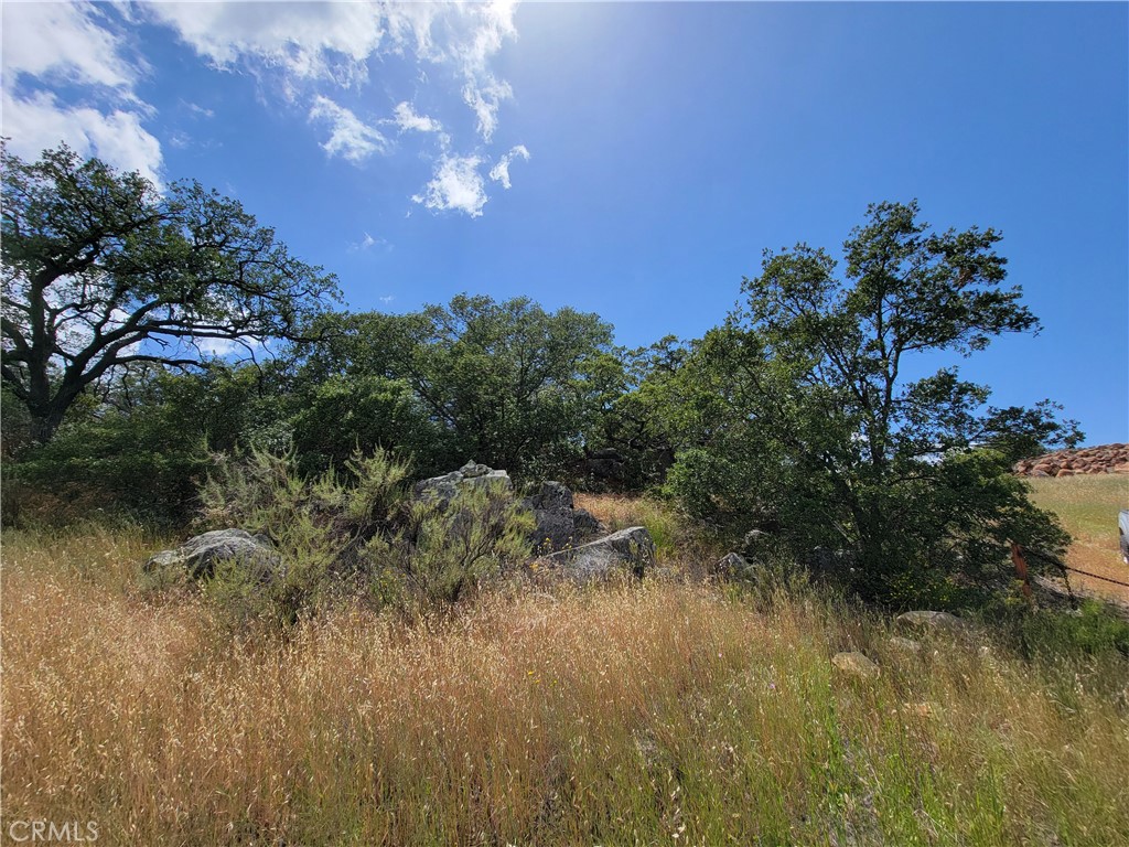 MLS #SW22170136 image #10