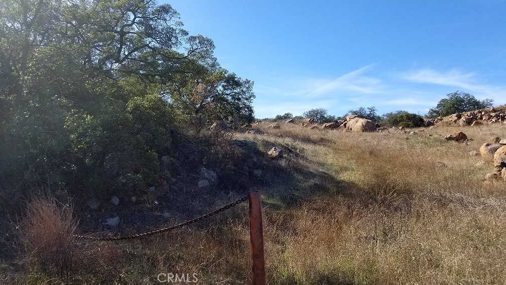 MLS #SW22170136 image #11