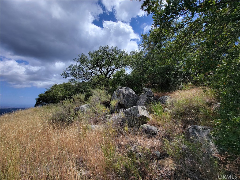 MLS #SW22170136 image #12