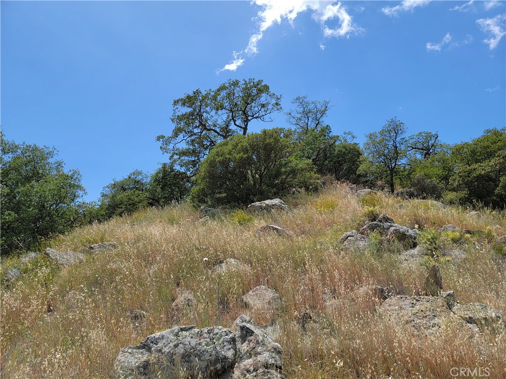 MLS #SW22170136 image #3