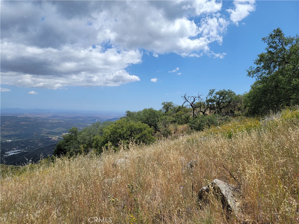 MLS #SW22170136 image #4