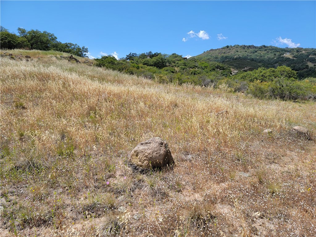 MLS #SW22170136 image #5