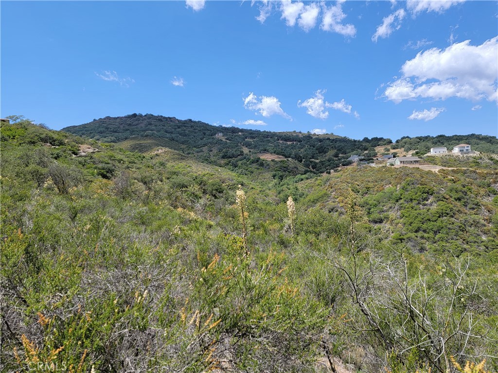 MLS #SW22170136 image #6