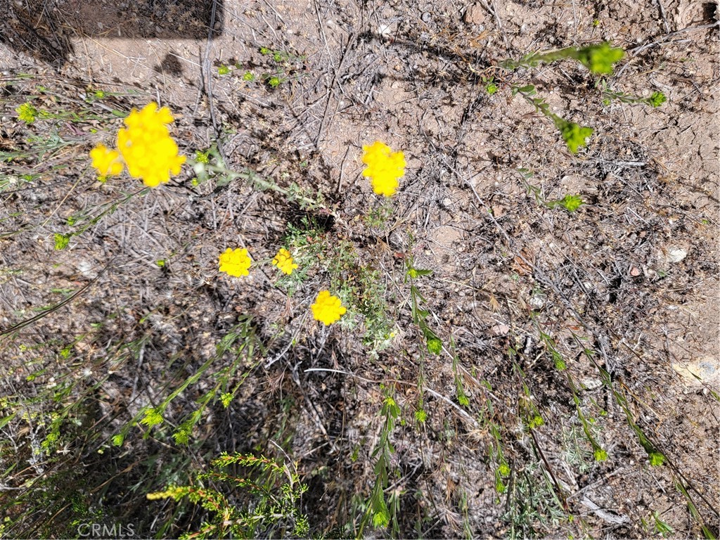 MLS #SW22170136 image #7