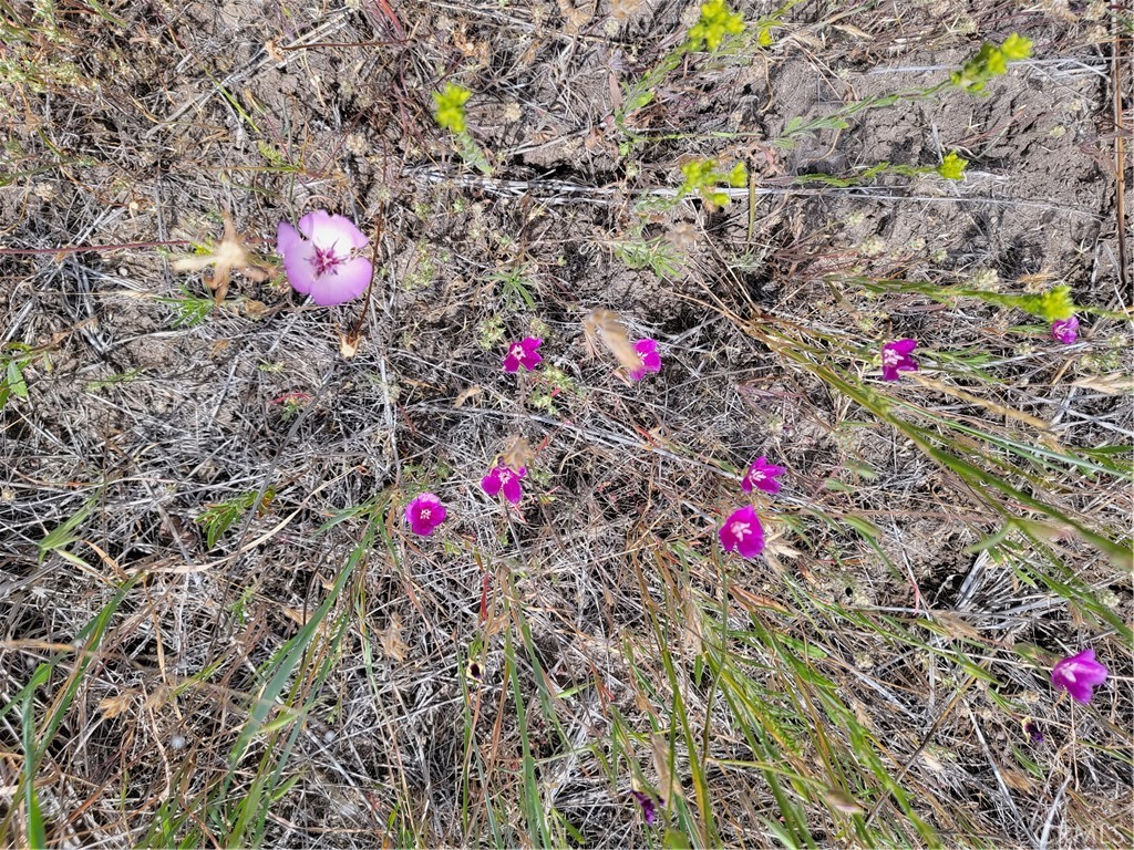 MLS #SW22170136 image #9