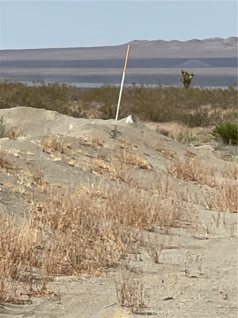 MLS #SW23138713 image #4