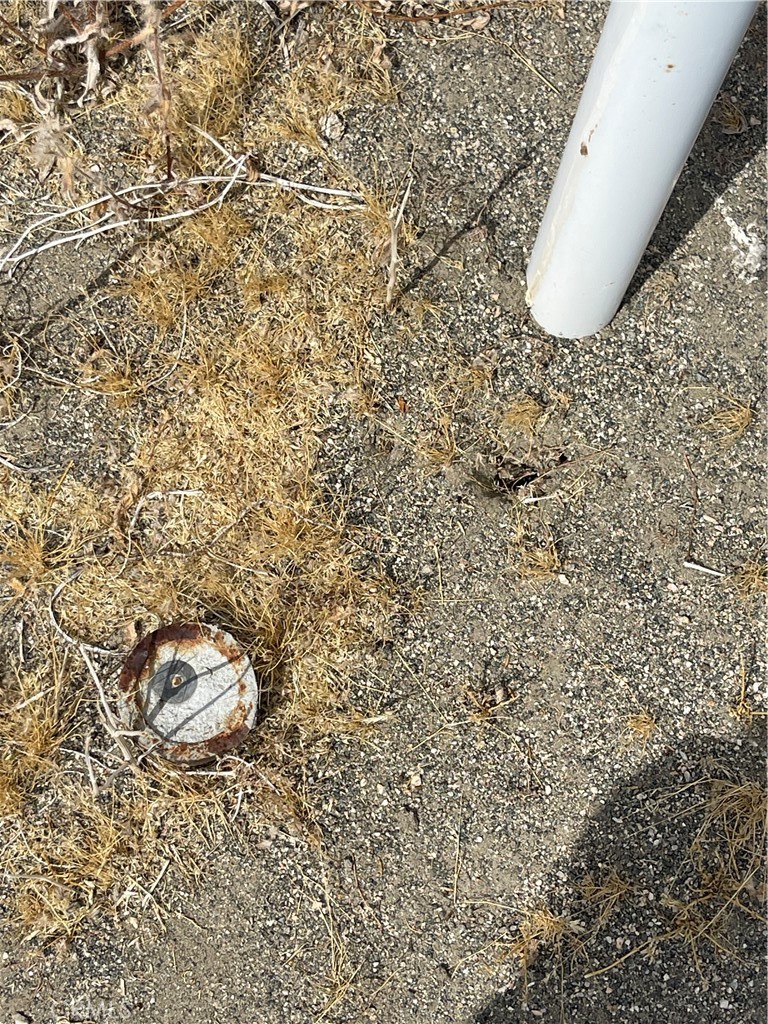 MLS #SW23138713 image #5