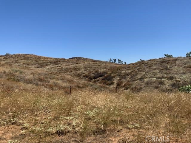 MLS #SW23159234 image #6