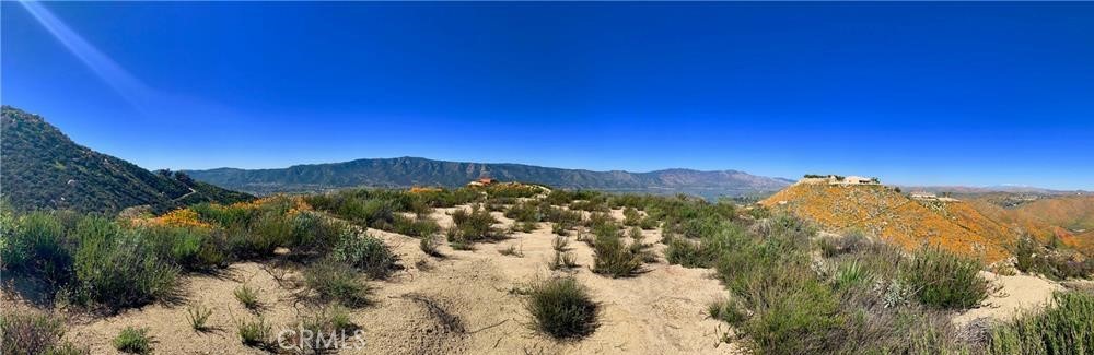 MLS #SW24041119 image #11