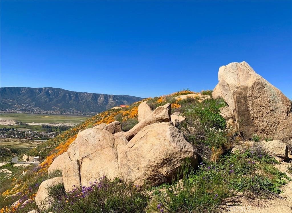 MLS #SW24041119 image #3