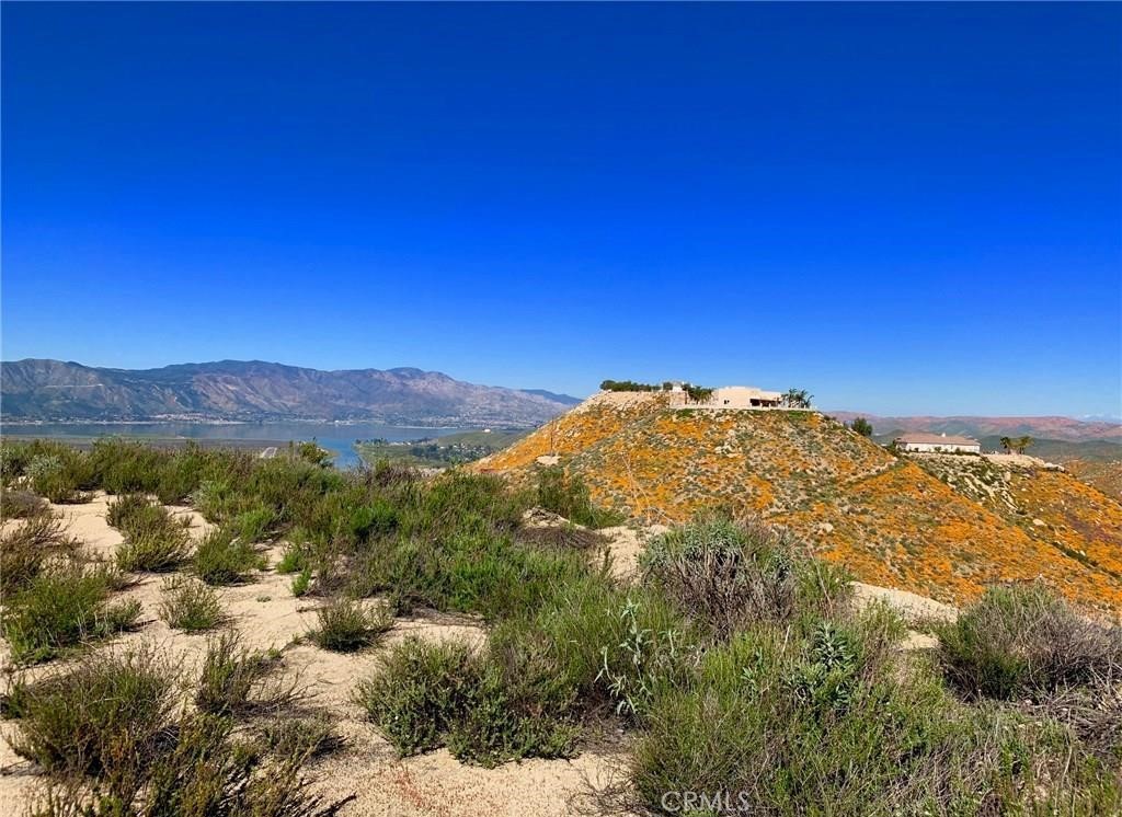 MLS #SW24041119 image #4