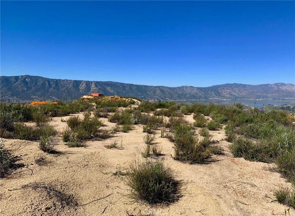 MLS #SW24041119 image #6