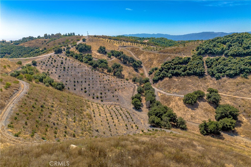 MLS #SW24061796 image #3