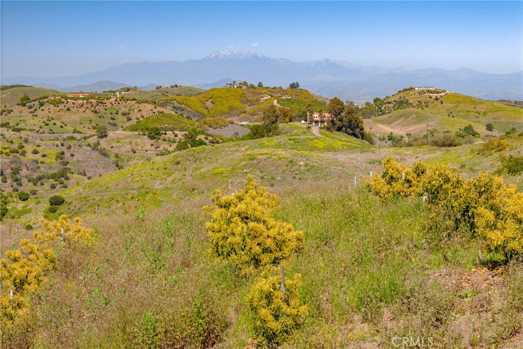 MLS #SW24061796 image #5