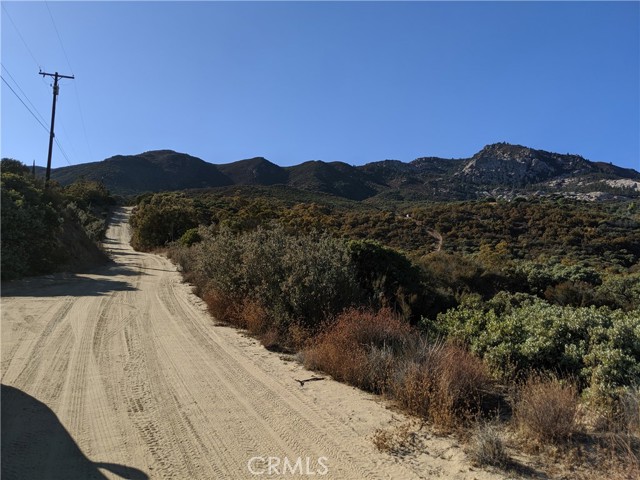 MLS #SW24079030 image #4