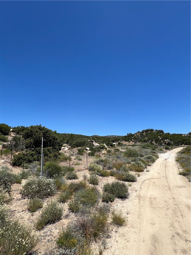 MLS #SW24116932 image #1