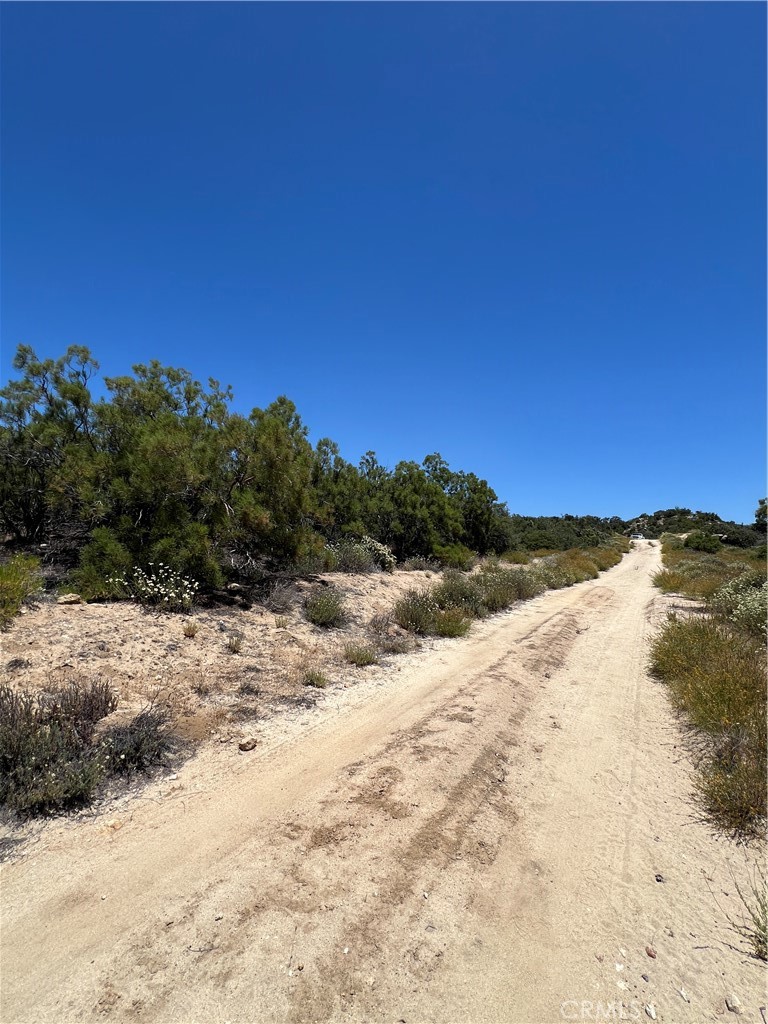 MLS #SW24116932 image #10