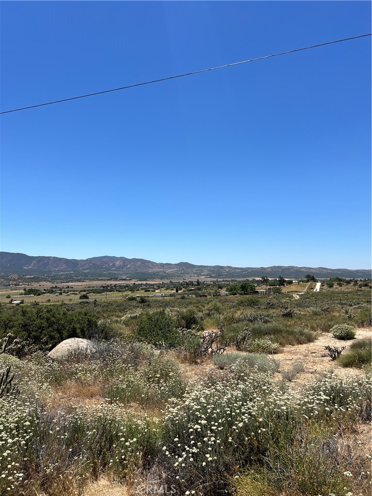 MLS #SW24116932 image #2