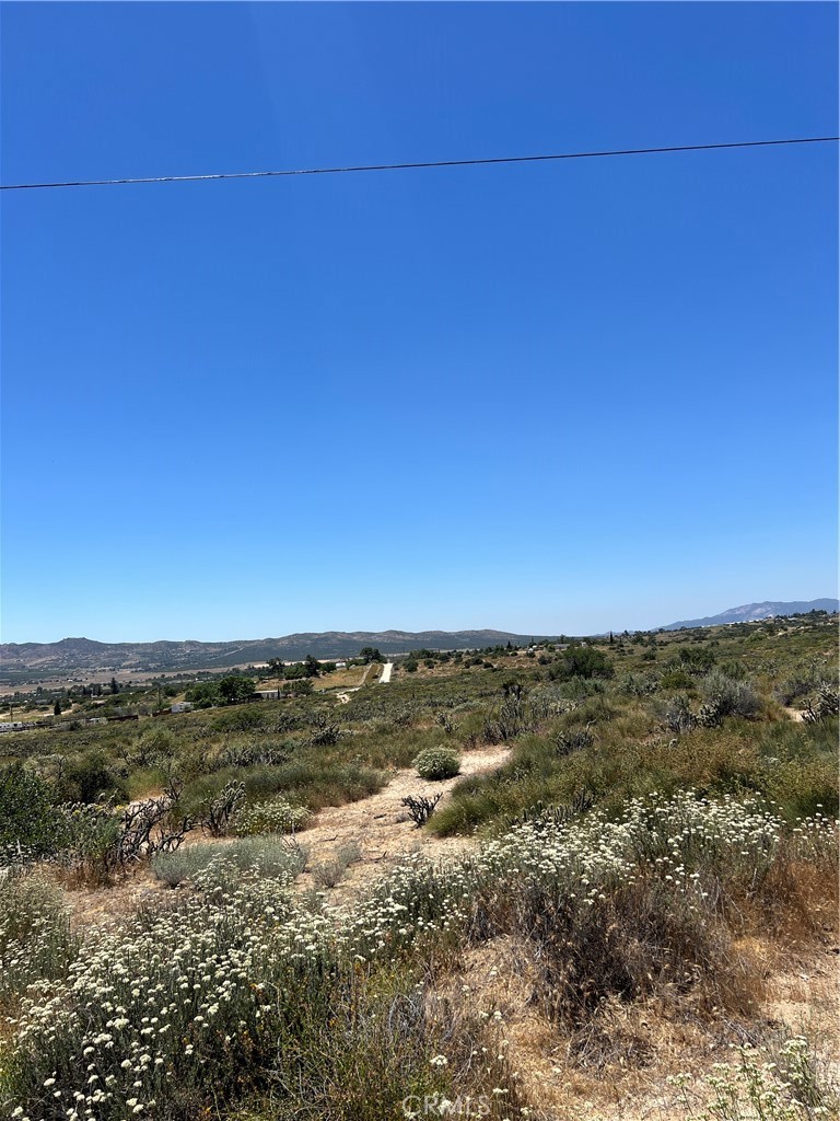 MLS #SW24116932 image #3