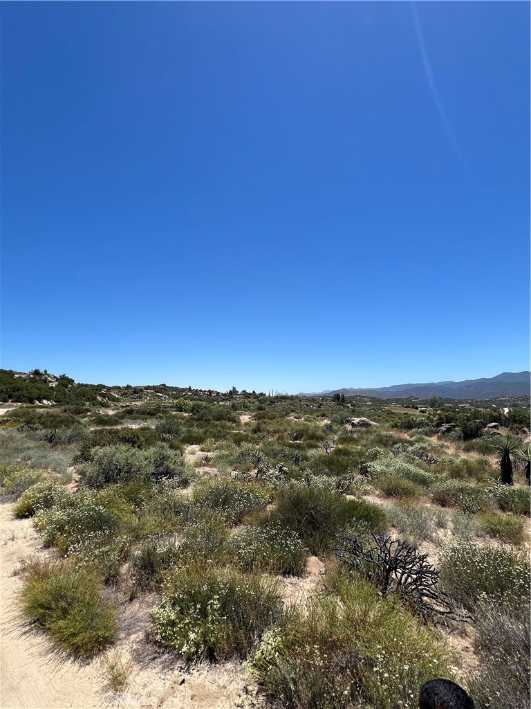 MLS #SW24116932 image #5