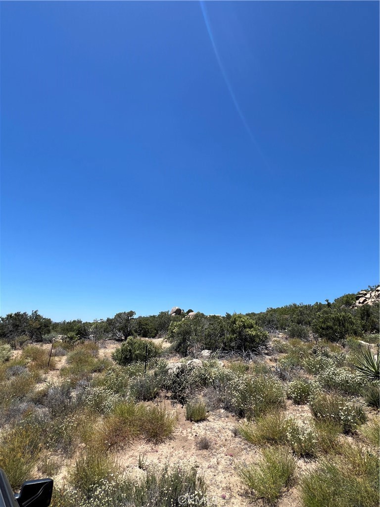 MLS #SW24116932 image #6