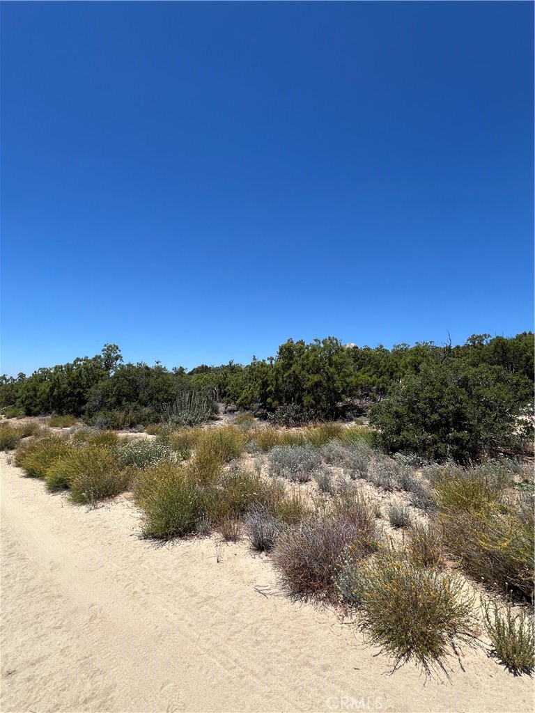 MLS #SW24116932 image #7