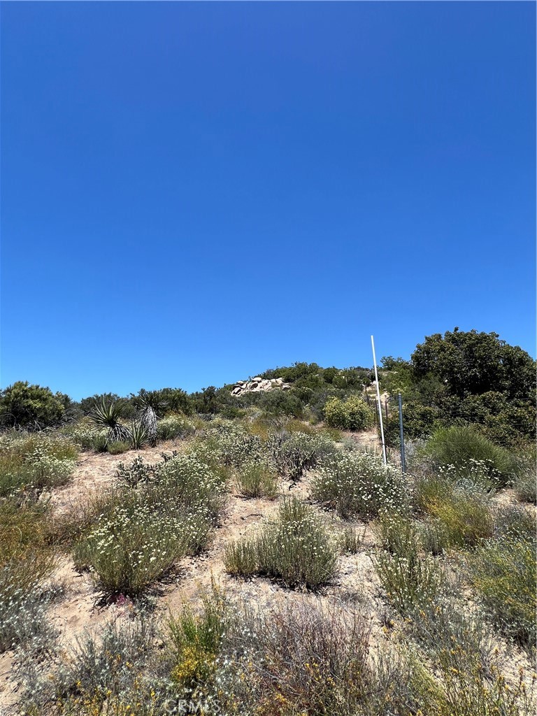 MLS #SW24116932 image #8