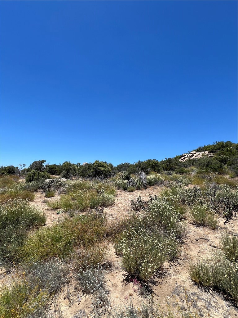 MLS #SW24116932 image #9