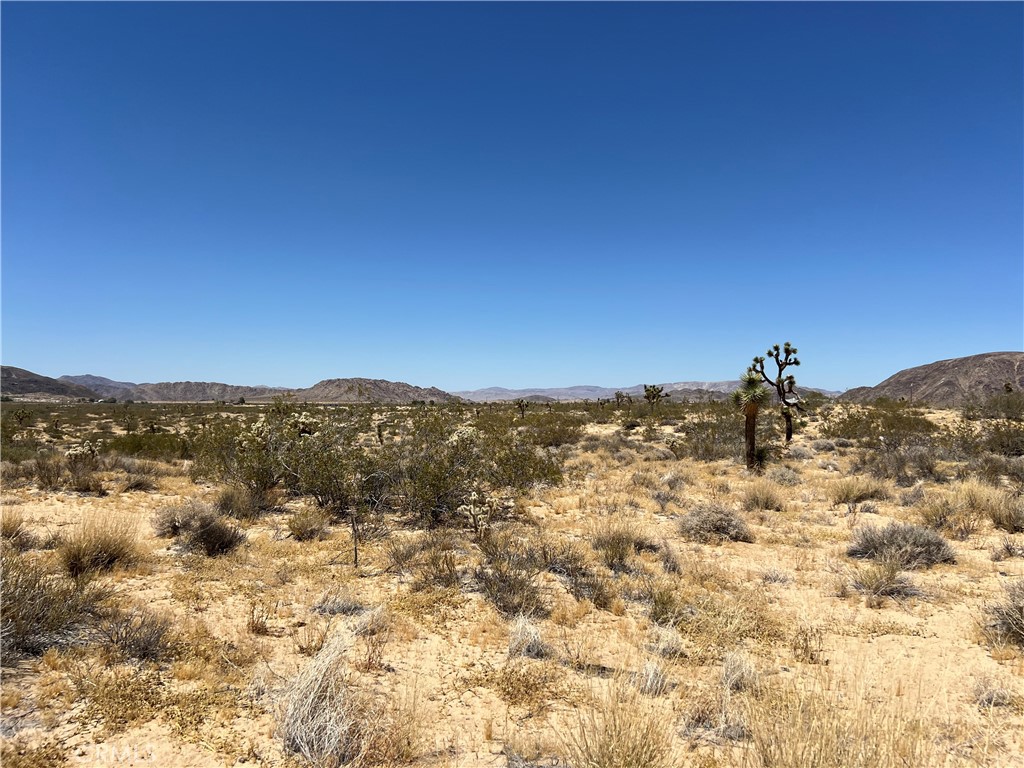 MLS #SW24134801 image #10