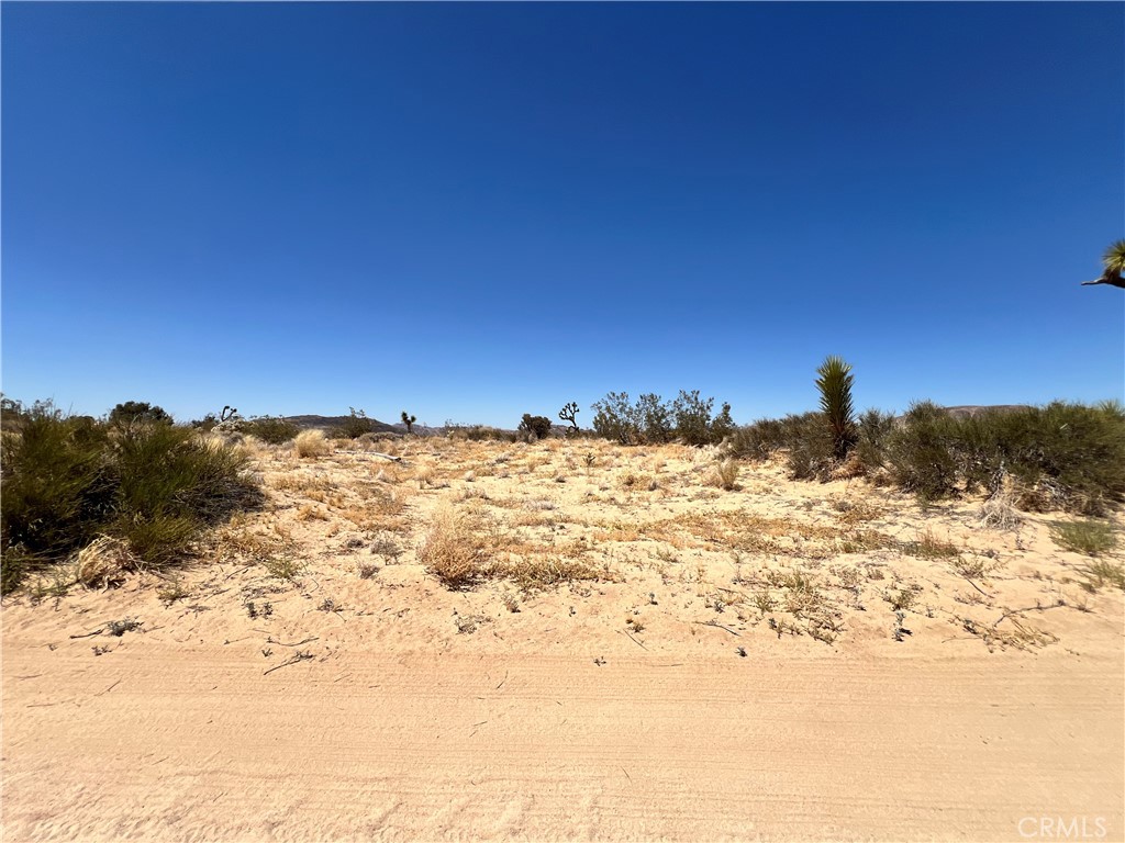 MLS #SW24134801 image #6