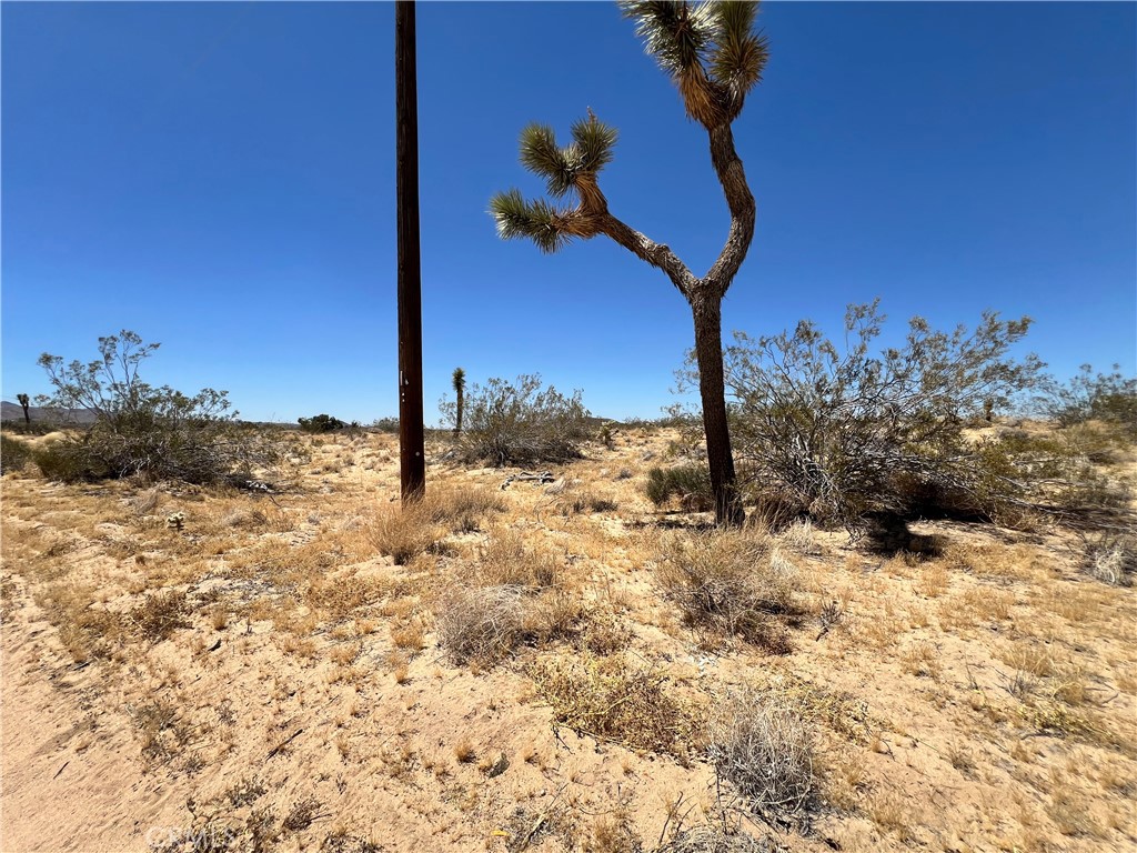 MLS #SW24134801 image #7