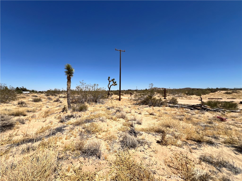 MLS #SW24134801 image #8