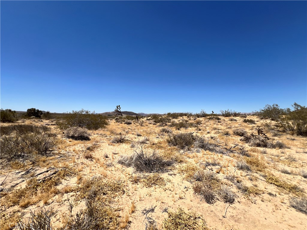 MLS #SW24134801 image #9