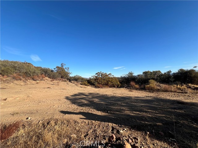 MLS #SW24172811 image #16