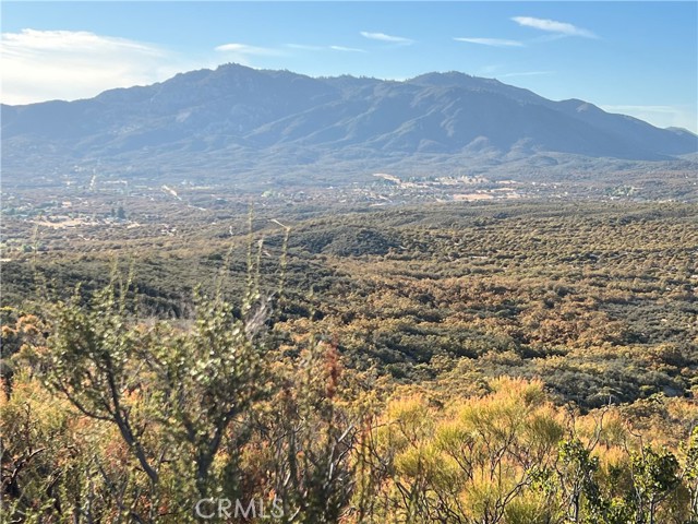 MLS #SW24172811 image #24