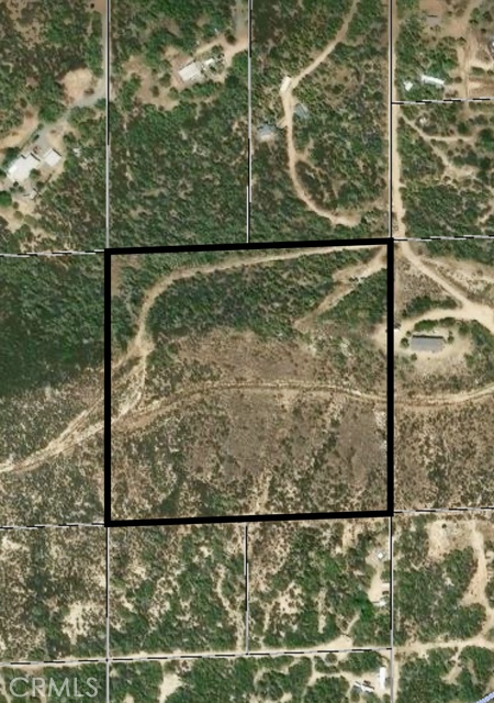MLS #SW24172811 image #4