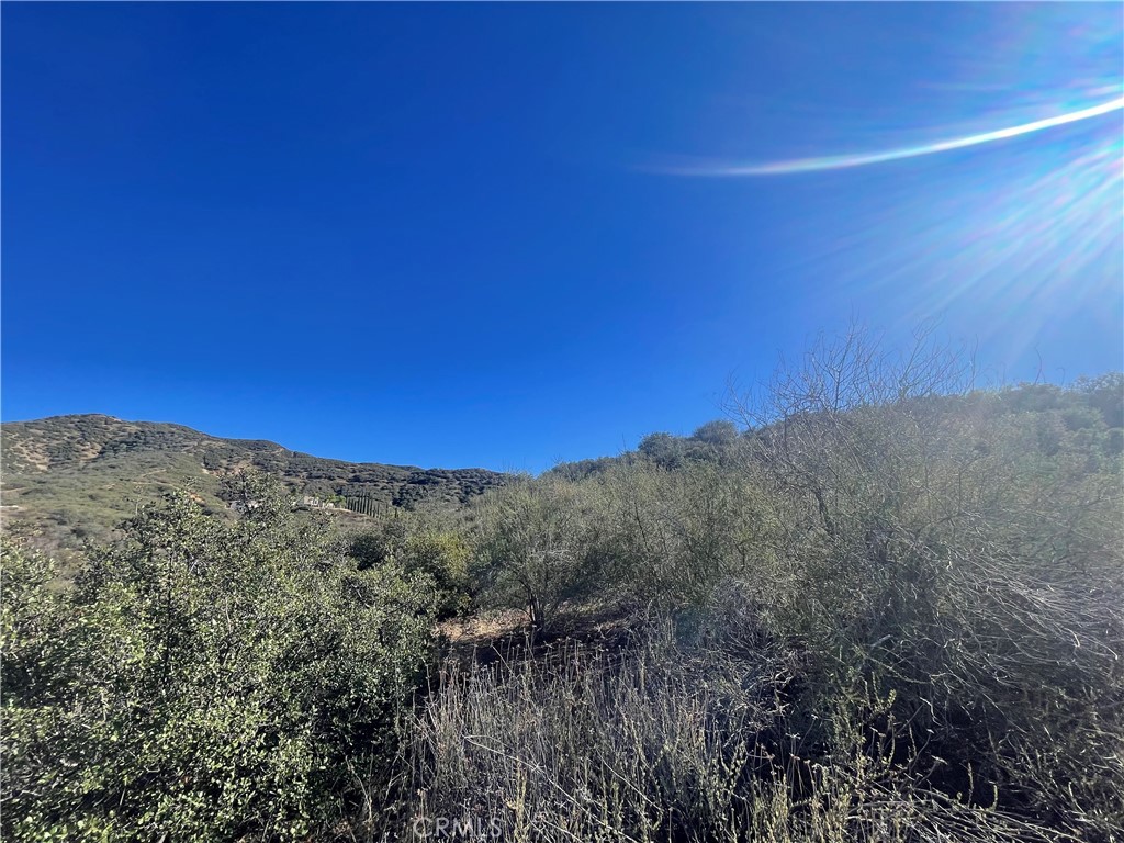 MLS #SW24186609 image #1