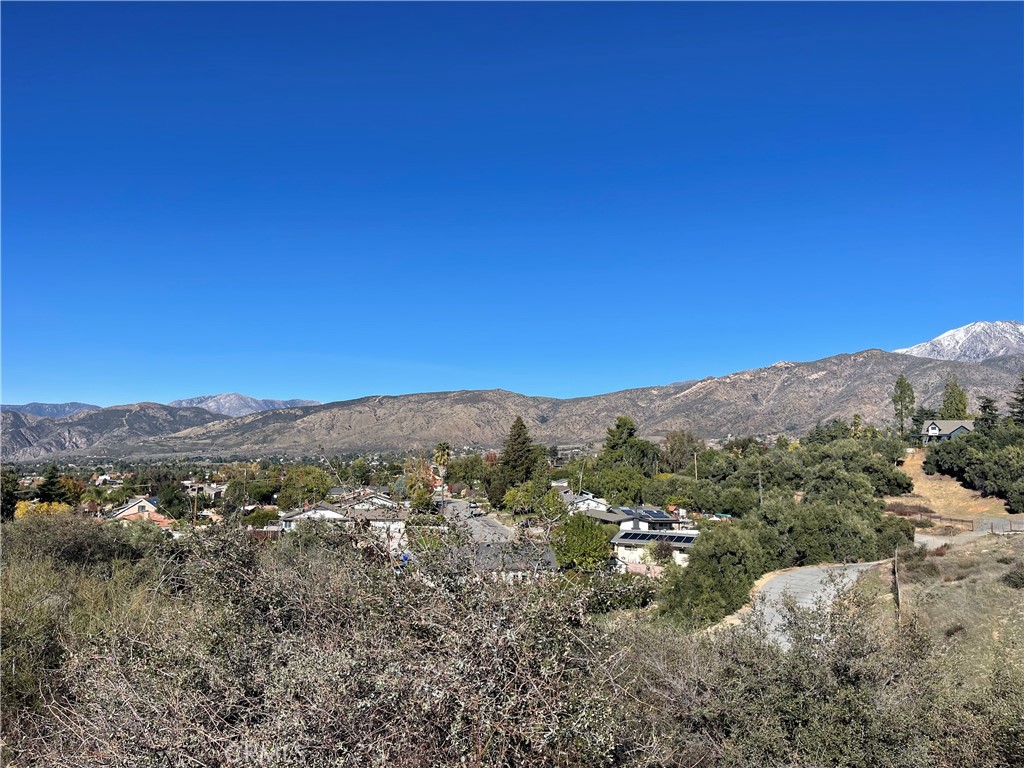 MLS #SW24186609 image #2