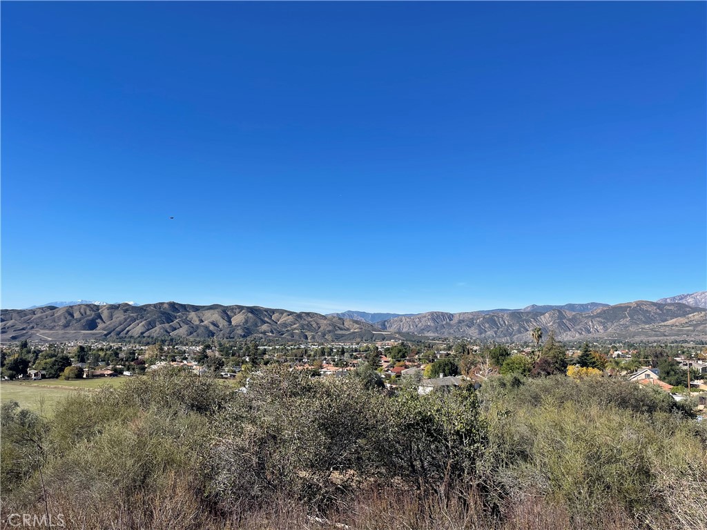 MLS #SW24186609 image #4