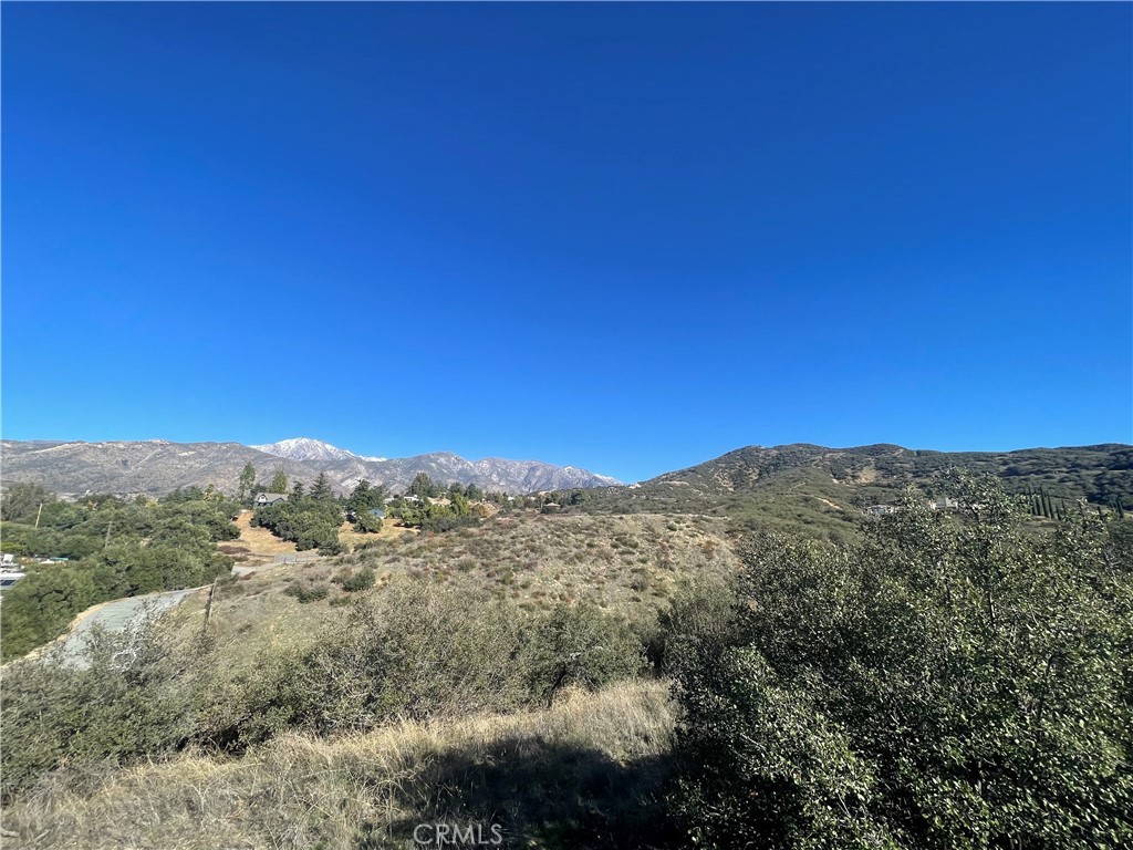 MLS #SW24186609 image #5