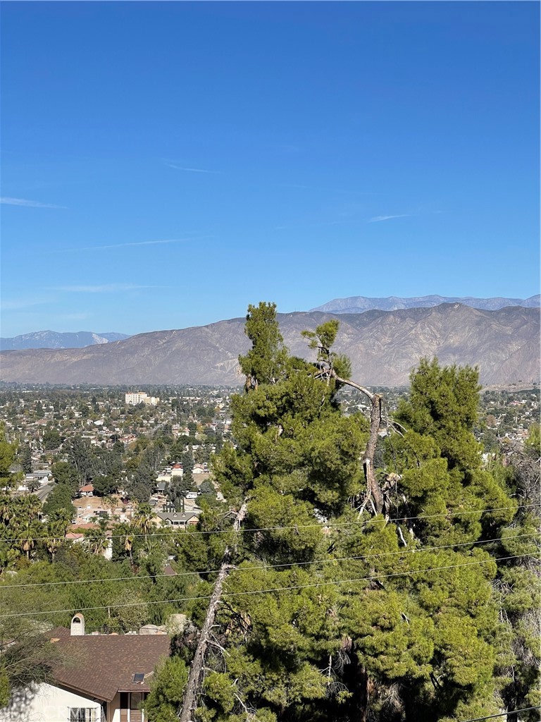 MLS #SW24229282 image #13