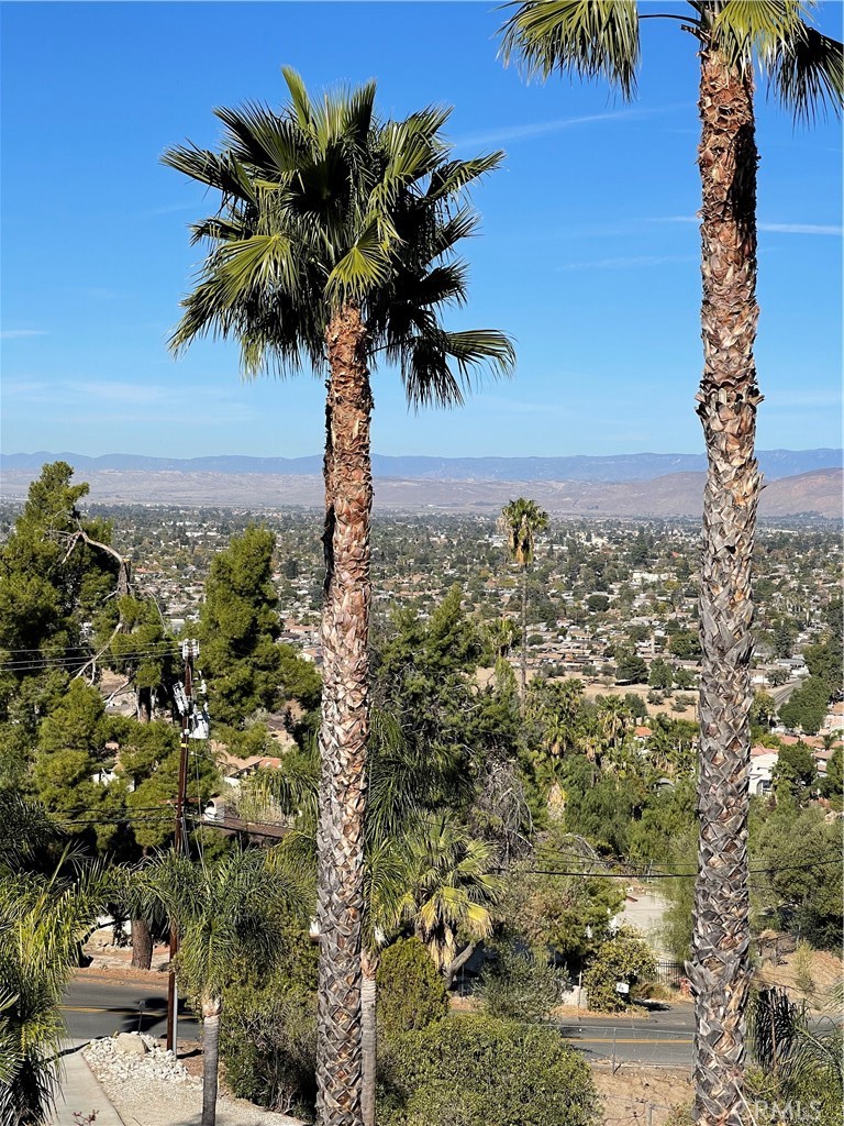 MLS #SW24229282 image #15