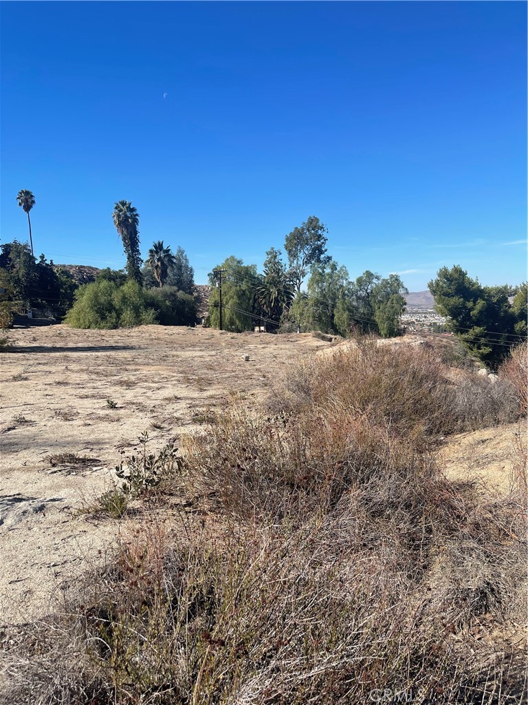 MLS #SW24229282 image #19