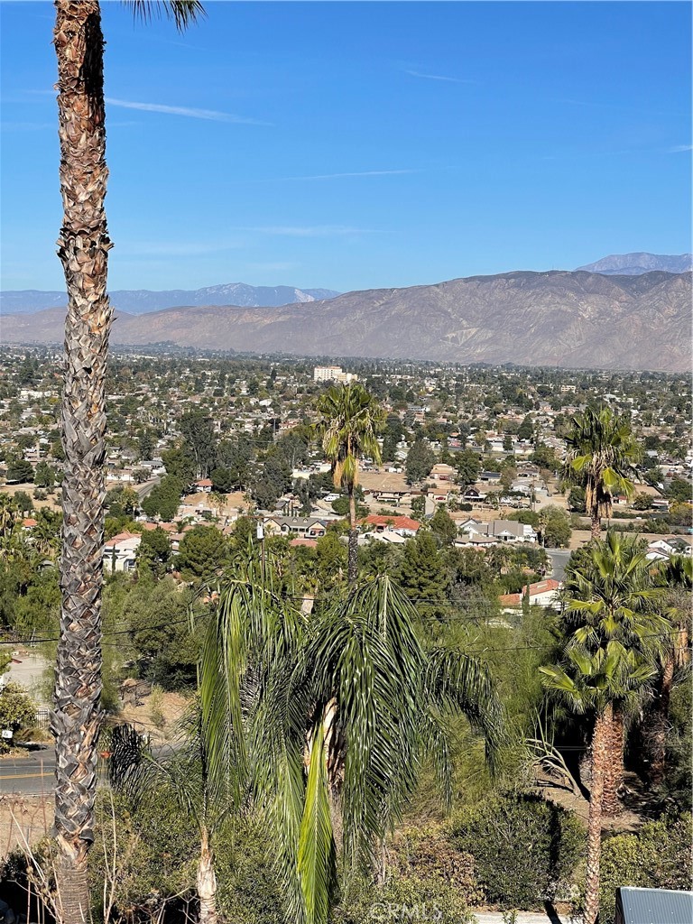 MLS #SW24229282 image #4