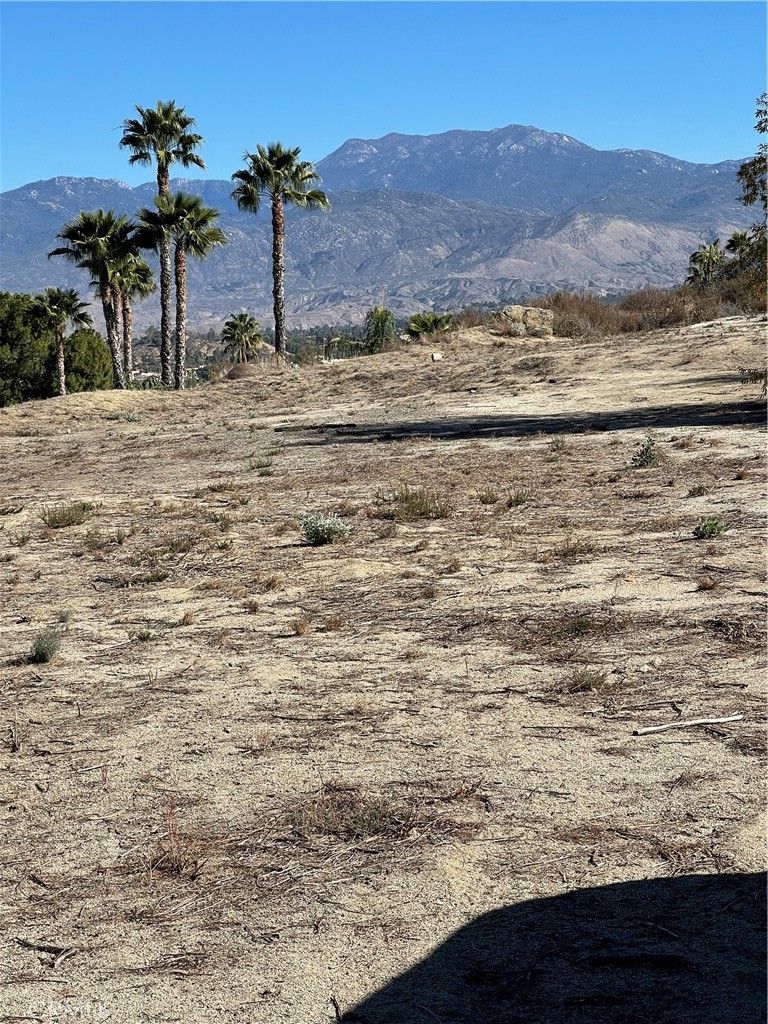 MLS #SW24229282 image #5