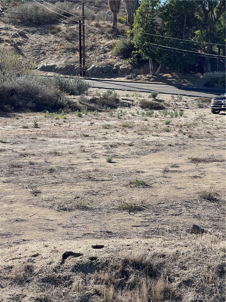 MLS #SW24229282 image #6