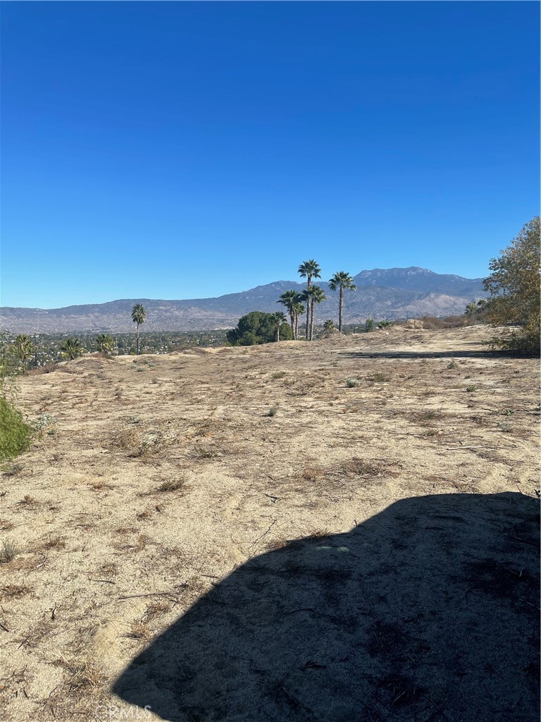 MLS #SW24229282 image #7